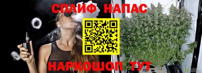 гидропоника Рузаевка