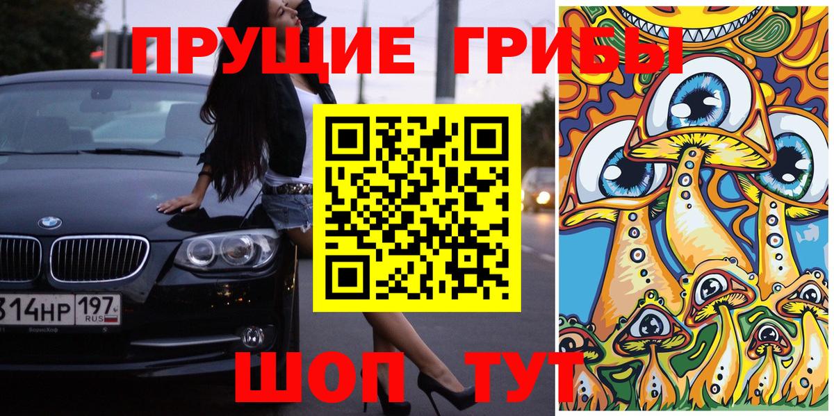 Псилоцибиновые грибы Cubensis  Вход с VPN  Рубцовск 