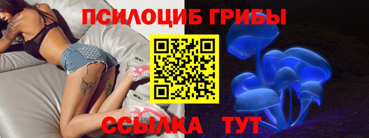Псилоцибиновые грибы GOLDEN TEACHER Рубцовск